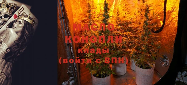 СК Невьянск