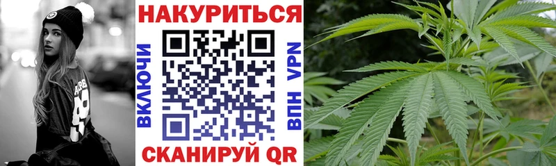 Канабис планчик Усть-Катав